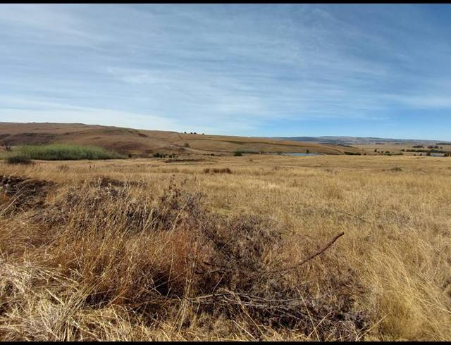 LAND FOR SALE IN MACHADODORP RURAL